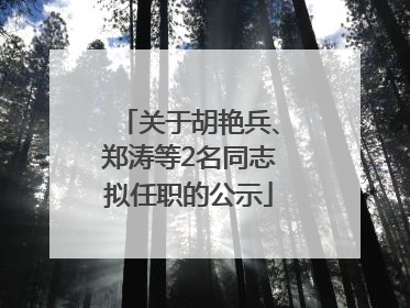 关于胡艳兵、郑涛等2名同志拟任职的公示