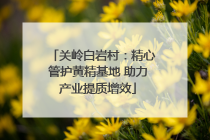 关岭白岩村：精心管护黄精基地 助力产业提质增效