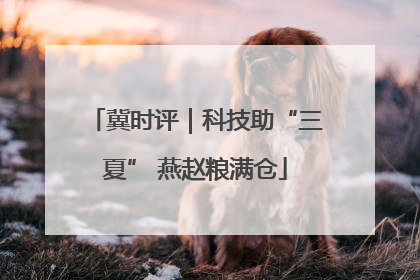 冀时评｜科技助“三夏” 燕赵粮满仓