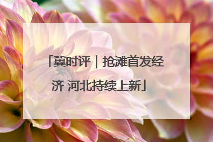 冀时评｜抢滩首发经济 河北持续上新