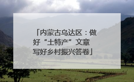 内蒙古乌达区：做好“土特产”文章 写好乡村振兴答卷