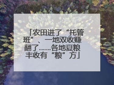 农田进了“托管班”、一地双收赚翻了……各地夏粮丰收有“粮”方
