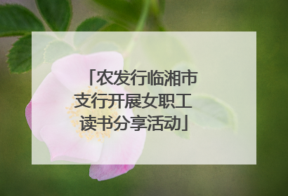 农发行临湘市支行开展女职工读书分享活动