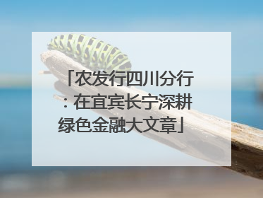 农发行四川分行：在宜宾长宁深耕绿色金融大文章
