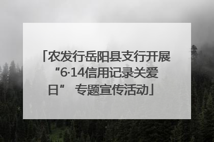 农发行岳阳县支行开展“6·14信用记录关爱日” 专题宣传活动