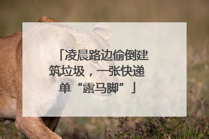 凌晨路边偷倒建筑垃圾，一张快递单“露马脚”