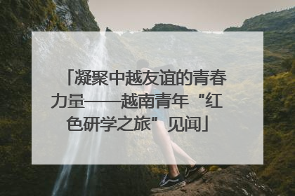 凝聚中越友谊的青春力量——越南青年“红色研学之旅”见闻