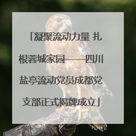 凝聚流动力量 扎根蓉城家园——四川盐亭流动党员成都党支部正式揭牌成立