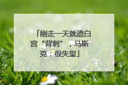 刚走一天就遭白宫“背刺”，马斯克：很失望