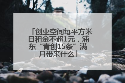 创业空间每平方米日租金不超1元，浦东“青创15条”满月带来什么