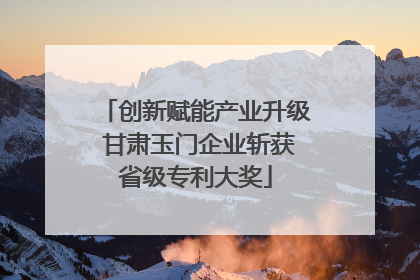 创新赋能产业升级 甘肃玉门企业斩获省级专利大奖