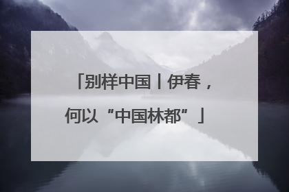 别样中国丨伊春，何以“中国林都”