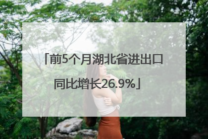 前5个月湖北省进出口同比增长26.9%