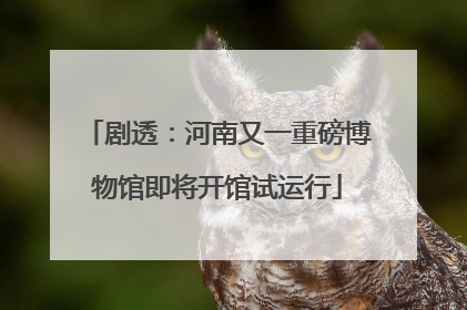 剧透：河南又一重磅博物馆即将开馆试运行