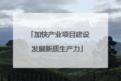 加快产业项目建设 发展新质生产力