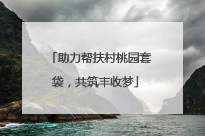 助力帮扶村桃园套袋，共筑丰收梦