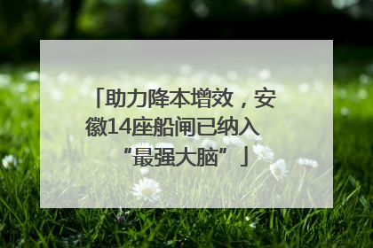 助力降本增效，安徽14座船闸已纳入“最强大脑”