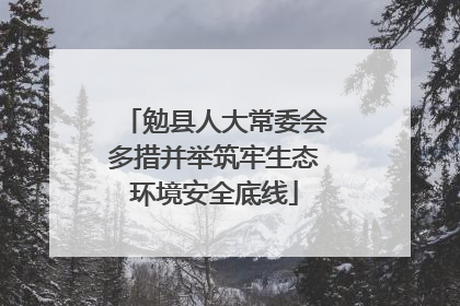 勉县人大常委会多措并举筑牢生态环境安全底线
