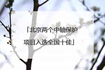 北京两个中轴保护项目入选全国十佳