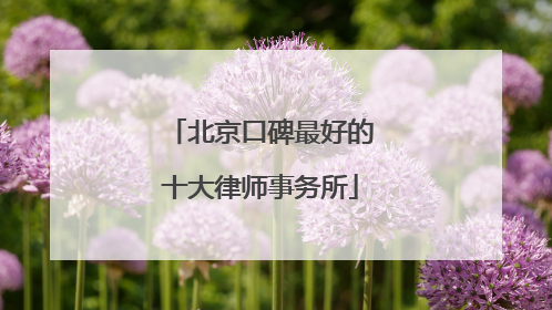 北京口碑最好的十大律师事务所