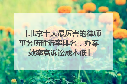 北京十大最厉害的律师事务所胜诉率排名，办案效率高诉讼成本低