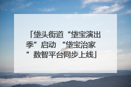 垡头街道“垡宝演出季”启动 “垡宝治家”数智平台同步上线