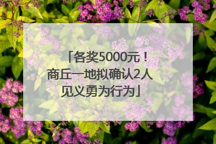 各奖5000元！商丘一地拟确认2人见义勇为行为