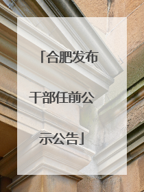 合肥发布干部任前公示公告