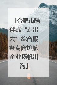 合肥市陪伴式“走出去”综合服务专窗护航企业扬帆出海