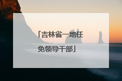 吉林省一地任免领导干部