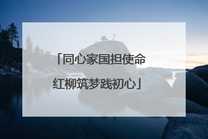 同心家国担使命 红柳筑梦践初心