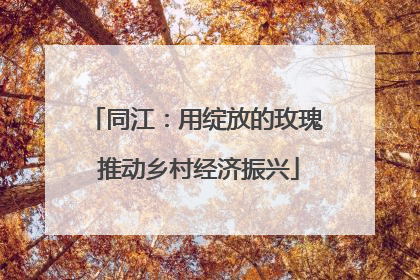 同江：用绽放的玫瑰 推动乡村经济振兴