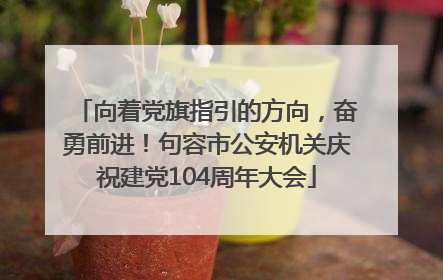 向着党旗指引的方向，奋勇前进！句容市公安机关庆祝建党104周年大会