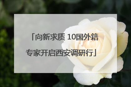 向新求质 10国外籍专家开启西安调研行