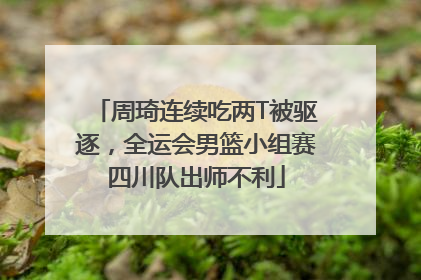 周琦连续吃两T被驱逐，全运会男篮小组赛四川队出师不利