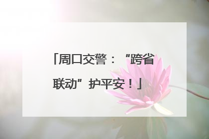 周口交警：“跨省联动”护平安！