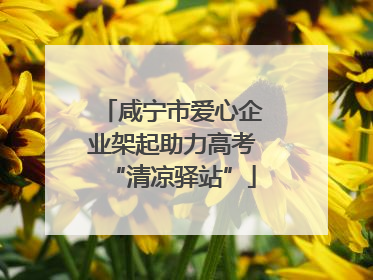 咸宁市爱心企业架起助力高考“清凉驿站”