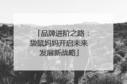 品牌进阶之路：袋鼠妈妈开启未来发展新战略