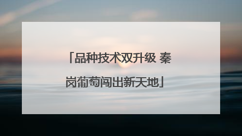 品种技术双升级 秦岗葡萄闯出新天地
