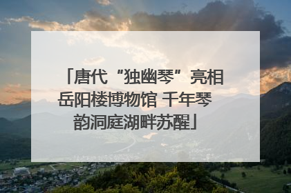 唐代“独幽琴”亮相岳阳楼博物馆 千年琴韵洞庭湖畔苏醒
