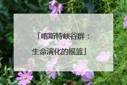 喀斯特峡谷群：生命演化的摇篮