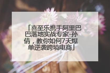 喜至乐携手阿里巴巴落地实战专家-孙倩，教你如何7天爆单逆袭跨境电商