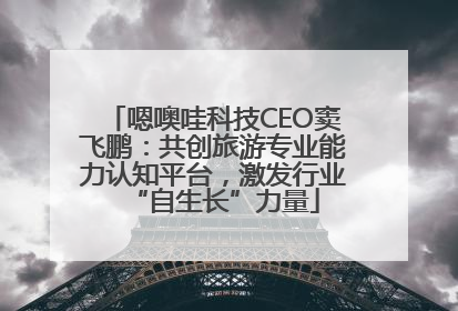 嗯噢哇科技CEO窦飞鹏：共创旅游专业能力认知平台，激发行业“自生长”力量