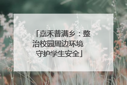 嘉禾普满乡：整治校园周边环境 守护学生安全