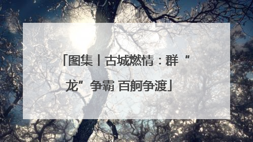 图集丨古城燃情：群“龙”争霸 百舸争渡