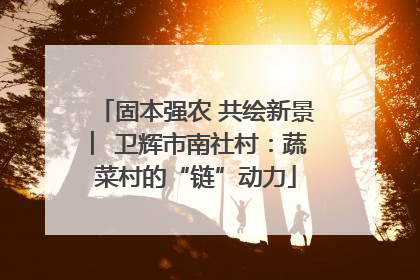 固本强农 共绘新景 ︳卫辉市南社村：蔬菜村的“链”动力