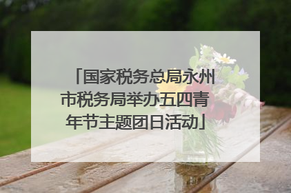 国家税务总局永州市税务局举办五四青年节主题团日活动