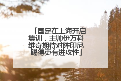 国足在上海开启集训，主帅伊万科维奇期待对阵印尼踢得更有进攻性