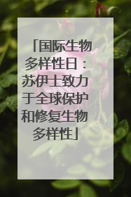 国际生物多样性日：苏伊士致力于全球保护和修复生物多样性
