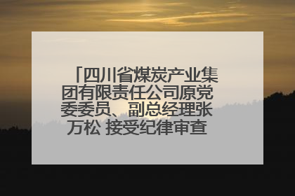 四川省煤炭产业集团有限责任公司原党委委员、副总经理张万松 接受纪律审查和监察调查